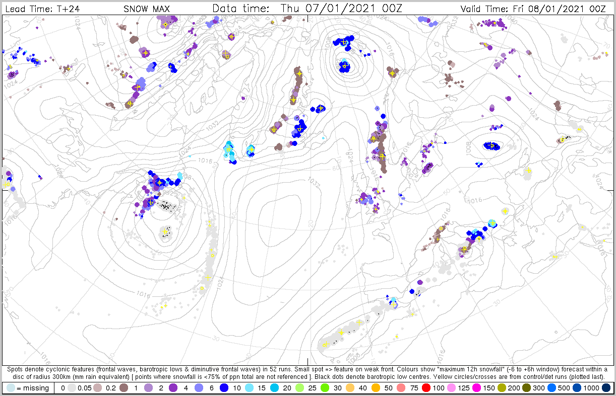 Training > Products 7 January > dalmatian_sno_max_03_07.png