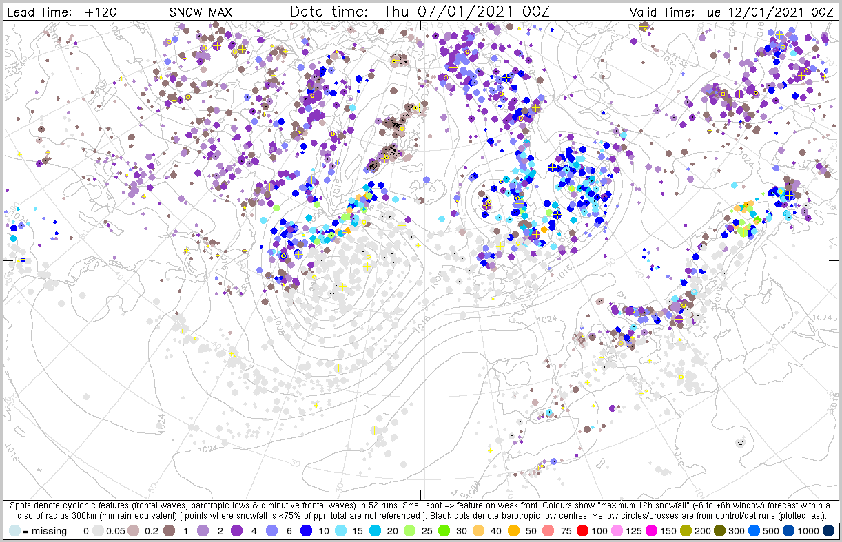 Training > Products 7 January > dalmatian_sno_max_11_07.png