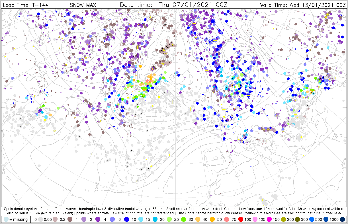 Training > Products 7 January > dalmatian_sno_max_13_07.png