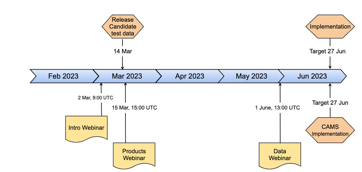 implementation-timeline-48r1